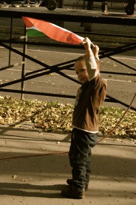 A Hungarian boy waves a flag in the streets today