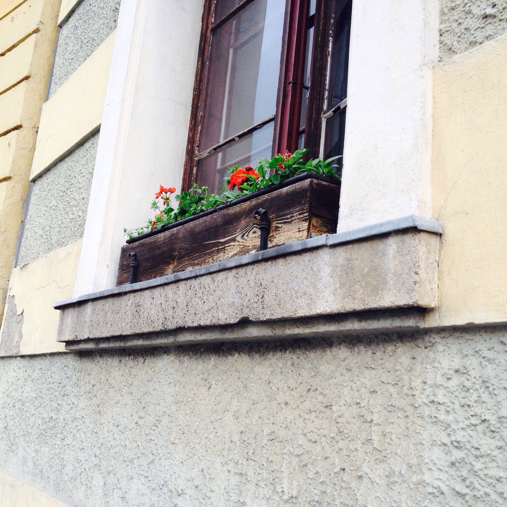 lazarus stopped dancing