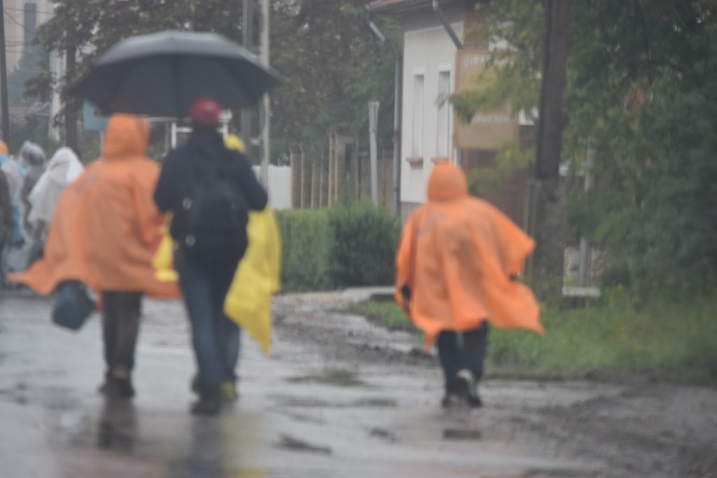 the long journey to find home